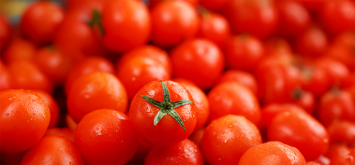 BANNER-Tomate interfere novamente no custo da cesta básica em Cuiabá; dessa vez, ficando mais caro